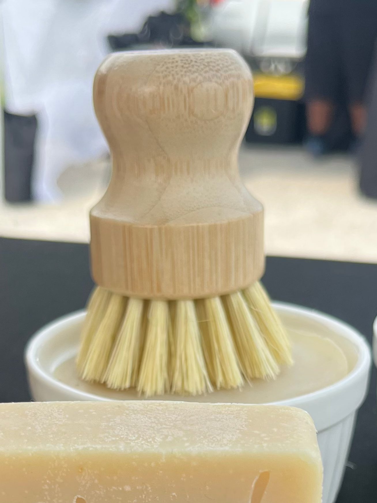 Dish Brush